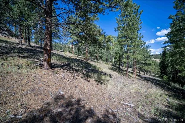 14850 Quandary Peak Road Pine, CO 80470