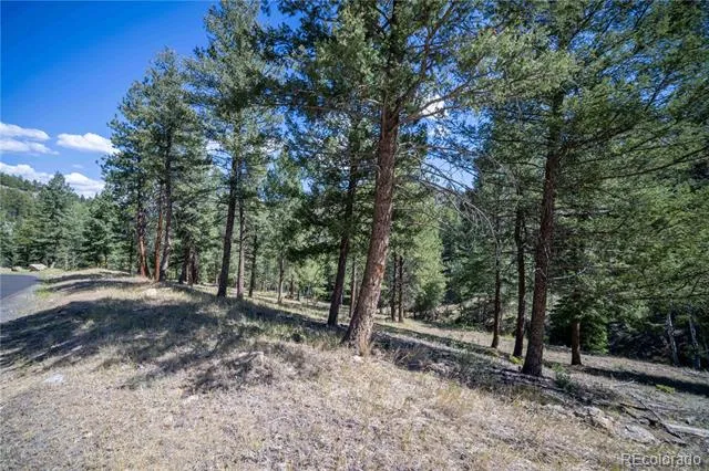 14850 Quandary Peak Road Pine, CO 80470