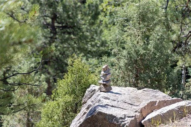 14850 Quandary Peak Road Pine, CO 80470