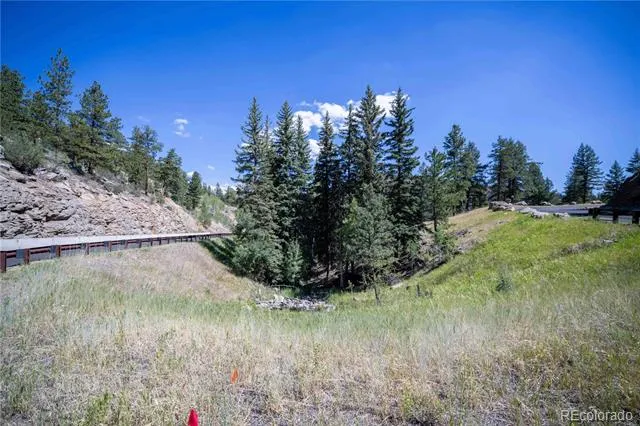 14850 Quandary Peak Road Pine, CO 80470