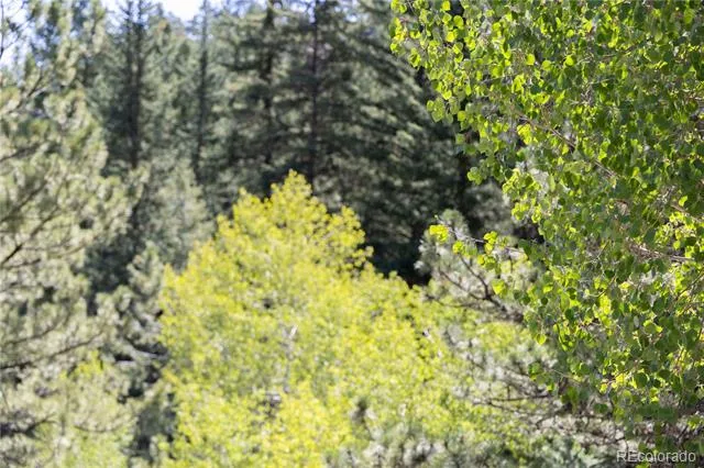 14850 Quandary Peak Road Pine, CO 80470