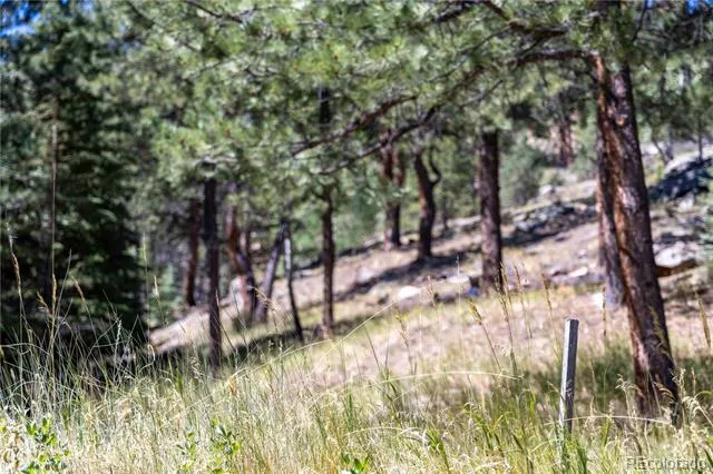 14850 Quandary Peak Road Pine, CO 80470