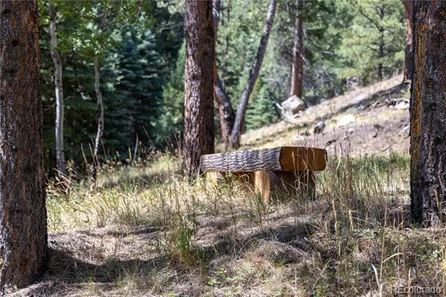 14850 Quandary Peak Road Pine, CO 80470