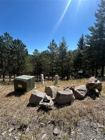 14850 Quandary Peak Road Pine, CO 80470