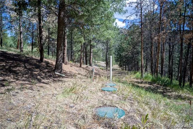14850 Quandary Peak Road Pine, CO 80470