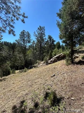 14850 Quandary Peak Road Pine, CO 80470