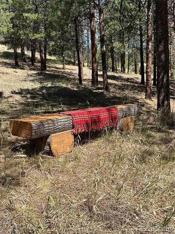 14850 Quandary Peak Road Pine, CO 80470