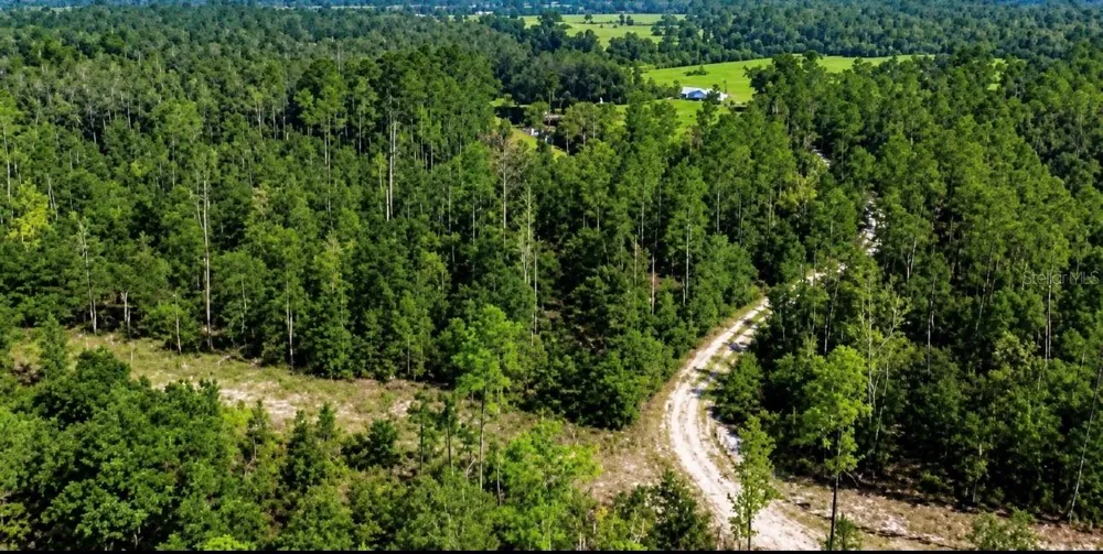 SW CO RD 249 Jasper, FL 32052