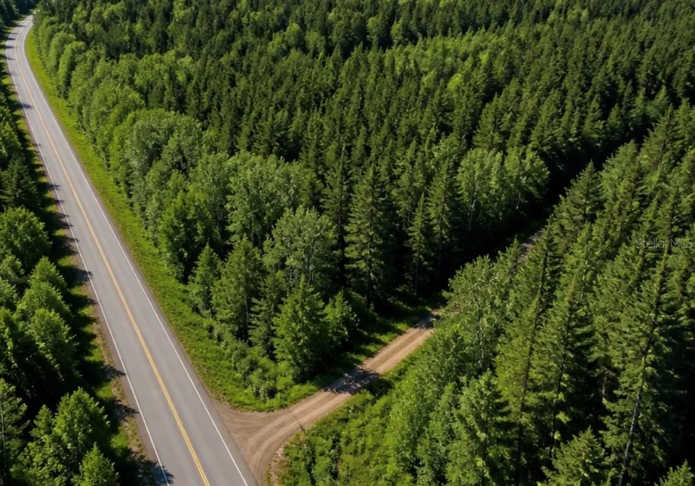 SW CO RD 249 Jasper, FL 32052