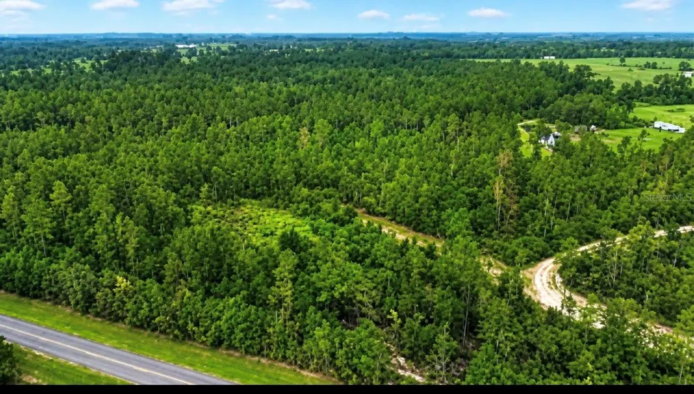 SW CO RD 249 Jasper, FL 32052