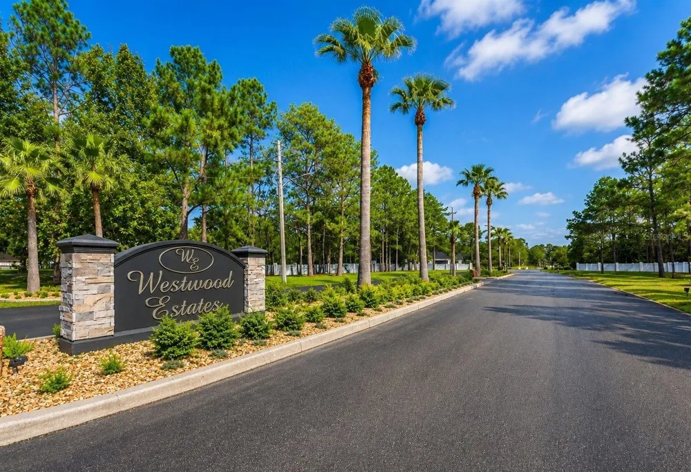 8541 WOODLEAF BOULEVARD Wesley Chapel, FL 33544