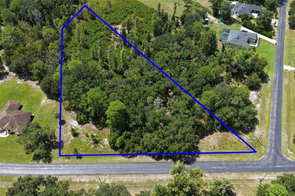 8541 WOODLEAF BOULEVARD Wesley Chapel, FL 33544