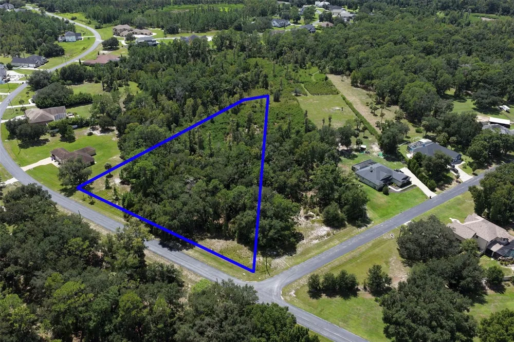 8541 WOODLEAF BOULEVARD Wesley Chapel, FL 33544