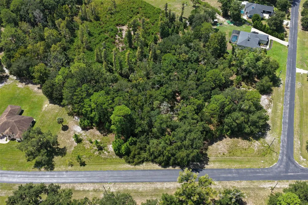 8541 WOODLEAF BOULEVARD Wesley Chapel, FL 33544