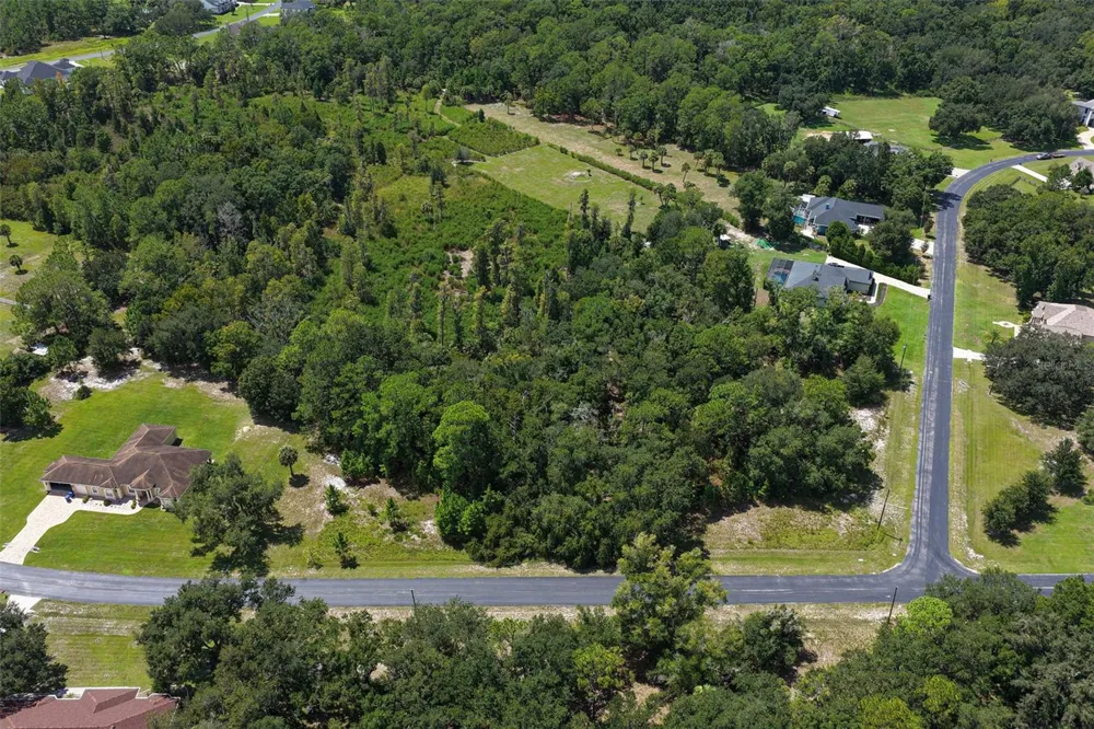 8541 WOODLEAF BOULEVARD Wesley Chapel, FL 33544