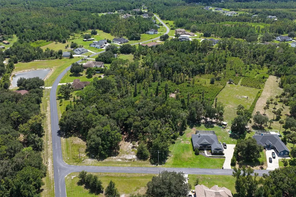 8541 WOODLEAF BOULEVARD Wesley Chapel, FL 33544