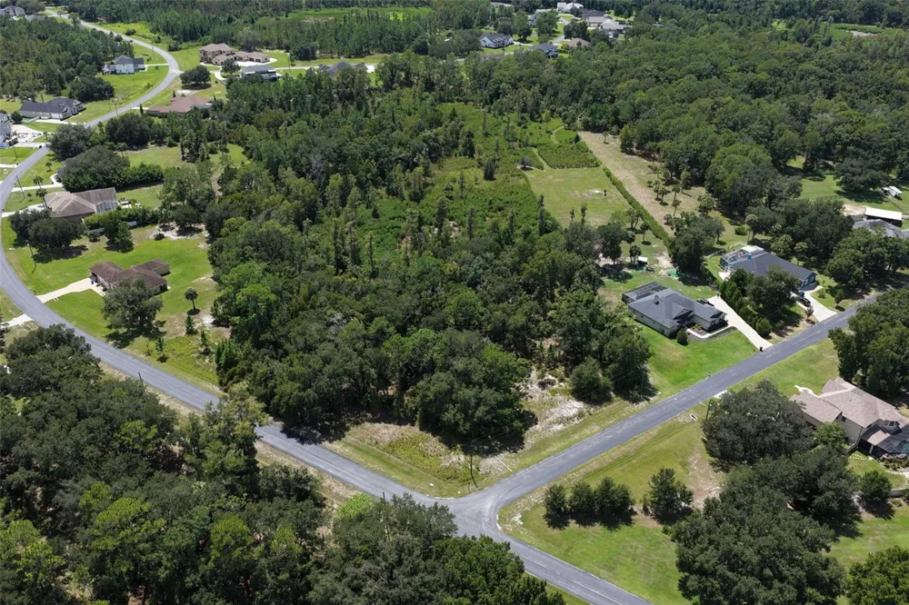 8541 WOODLEAF BOULEVARD Wesley Chapel, FL 33544
