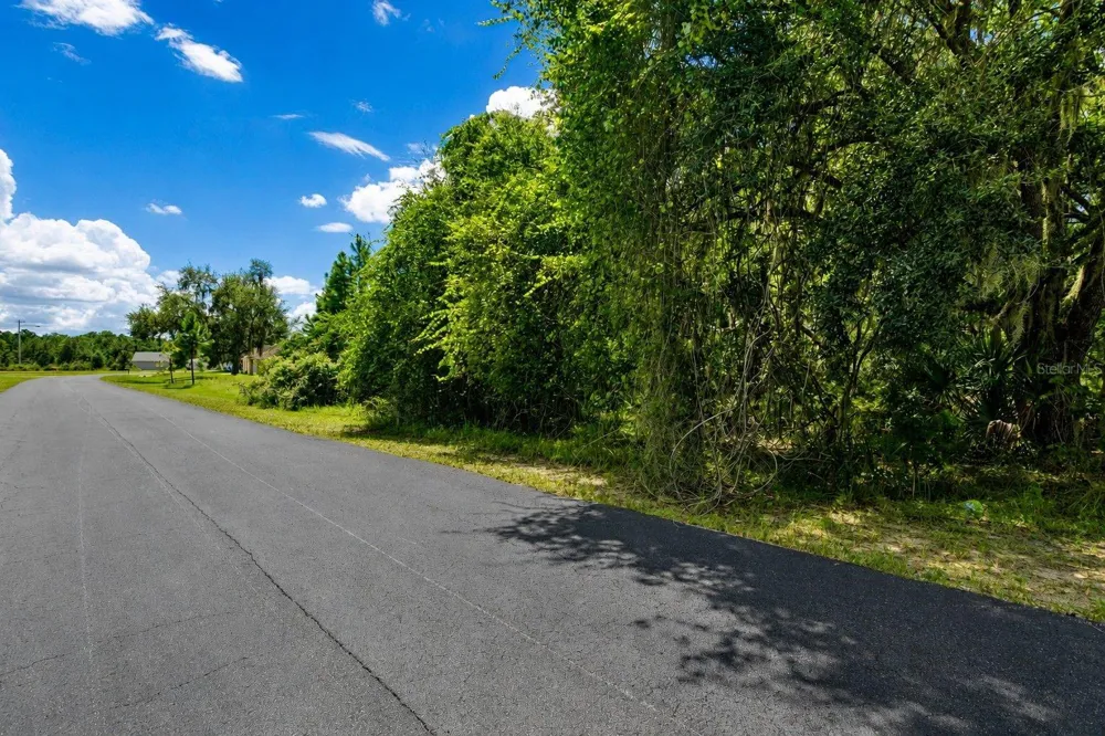 8541 WOODLEAF BOULEVARD Wesley Chapel, FL 33544