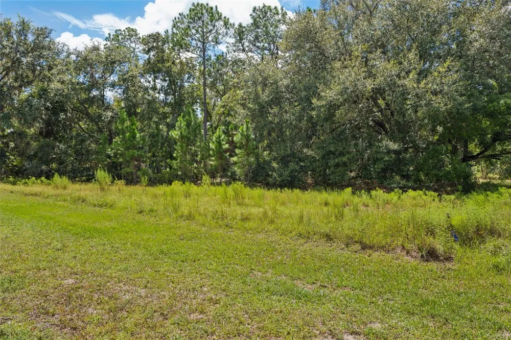 8541 WOODLEAF BOULEVARD Wesley Chapel, FL 33544