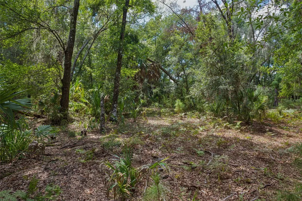 8541 WOODLEAF BOULEVARD Wesley Chapel, FL 33544
