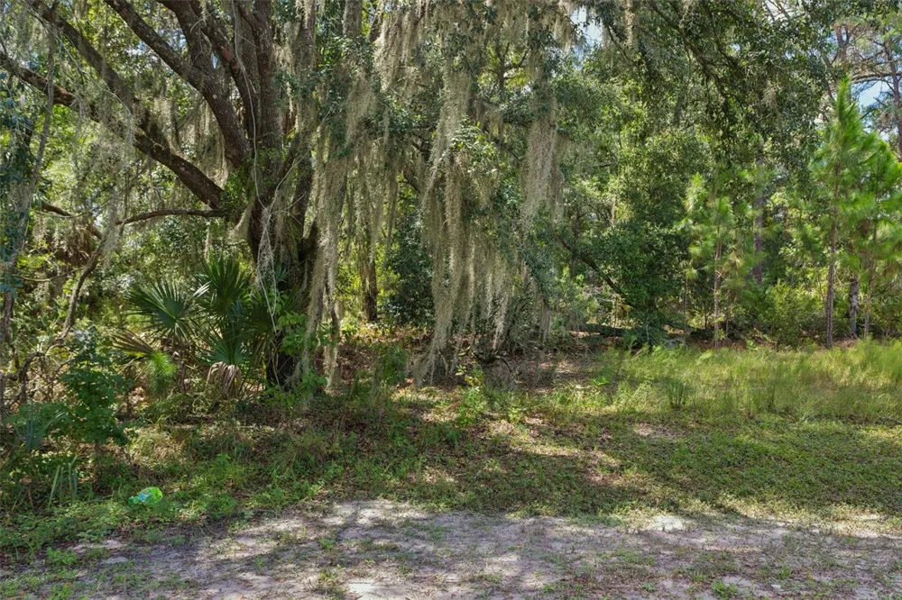 8541 WOODLEAF BOULEVARD Wesley Chapel, FL 33544