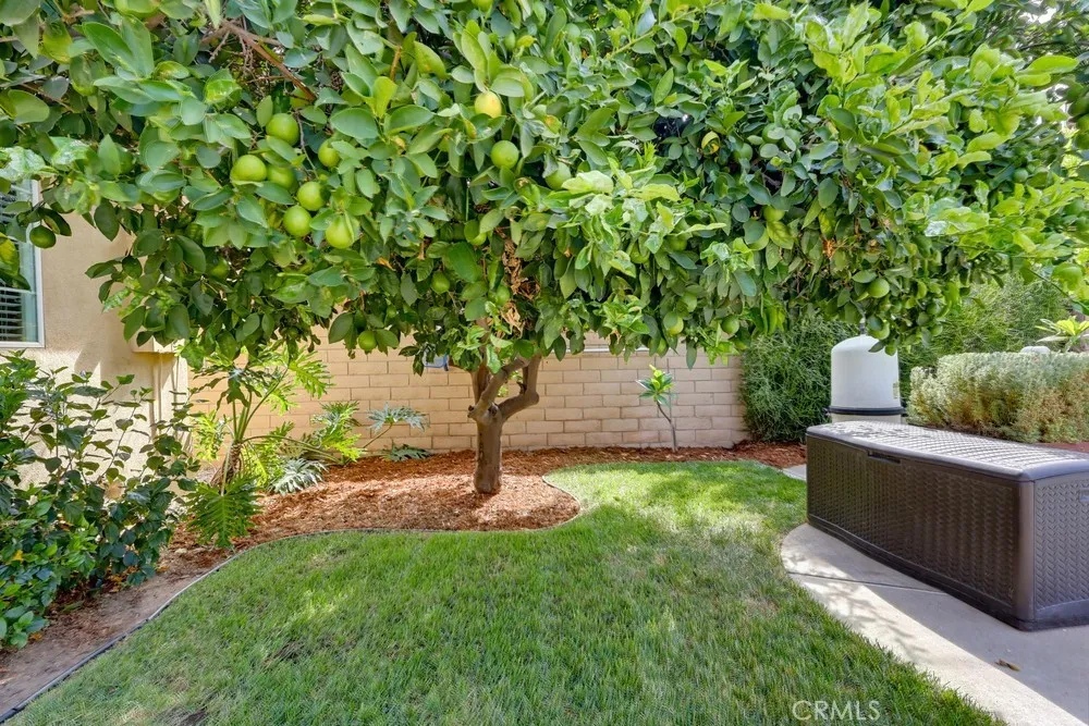 4009 Locust Street Chino, CA 91710