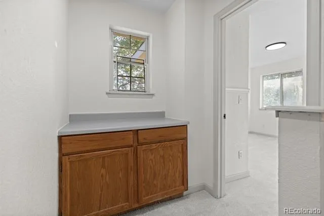 4215 S Ireland Court Aurora, CO 80013