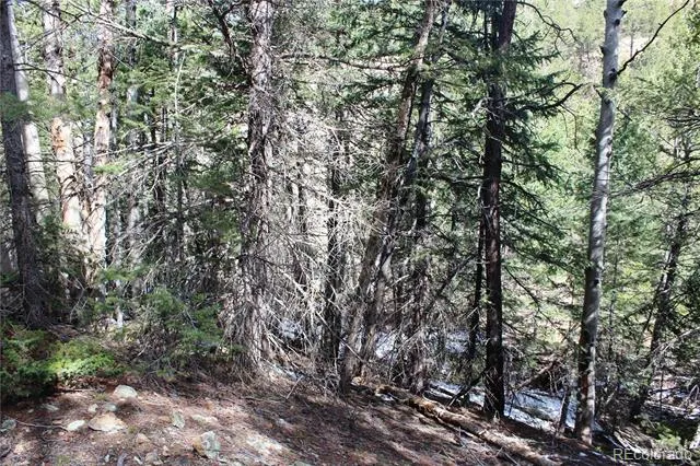 00 Missouri Flats Road Central City, CO 80427