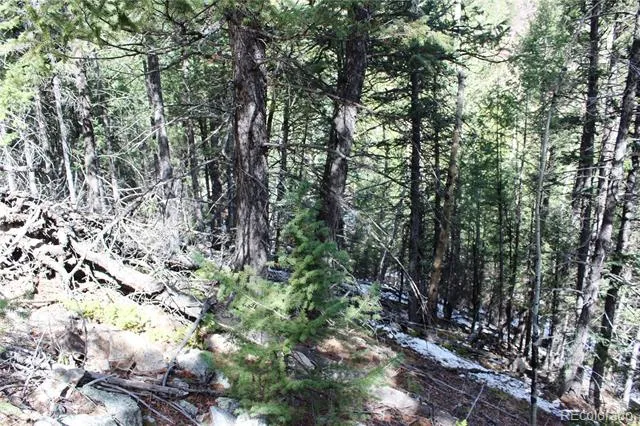 00 Missouri Flats Road Central City, CO 80427