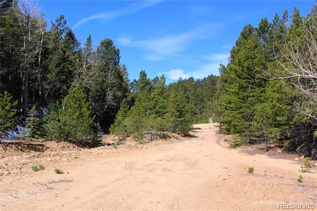 00 Missouri Flats Road Central City, CO 80427