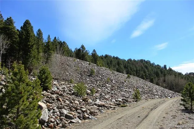 00 Missouri Flats Road Central City, CO 80427