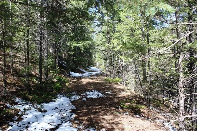 00 Missouri Flats Road Central City, CO 80427