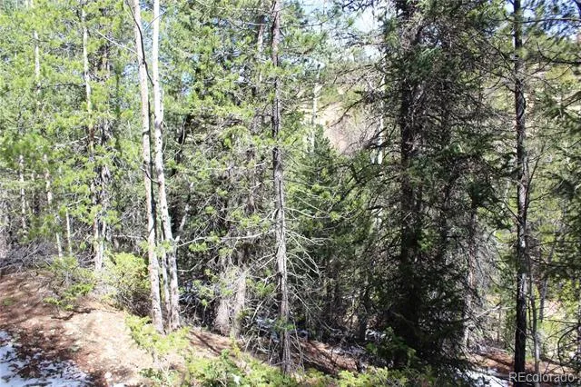 00 Missouri Flats Road Central City, CO 80427