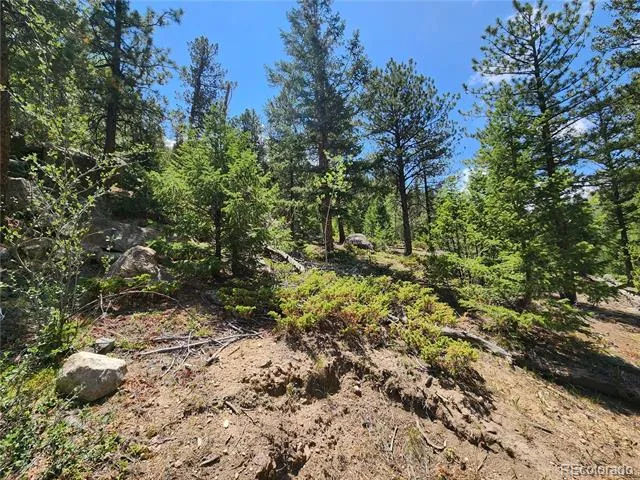 256 Capital Road Dumont, CO 80436