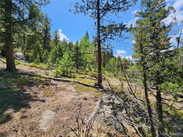 256 Capital Road Dumont, CO 80436