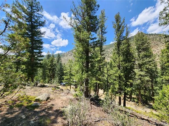 256 Capital Road Dumont, CO 80436