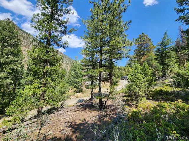 256 Capital Road Dumont, CO 80436