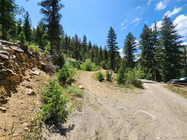 256 Capital Road Dumont, CO 80436