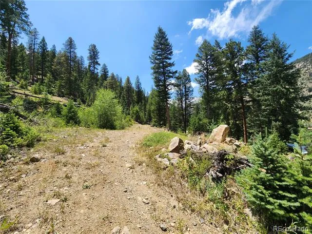 256 Capital Road Dumont, CO 80436