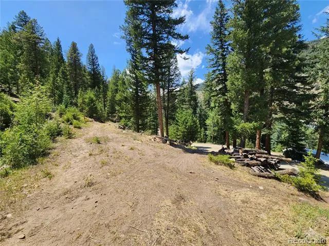 256 Capital Road Dumont, CO 80436