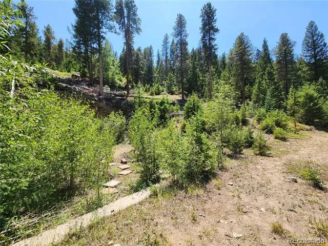256 Capital Road Dumont, CO 80436