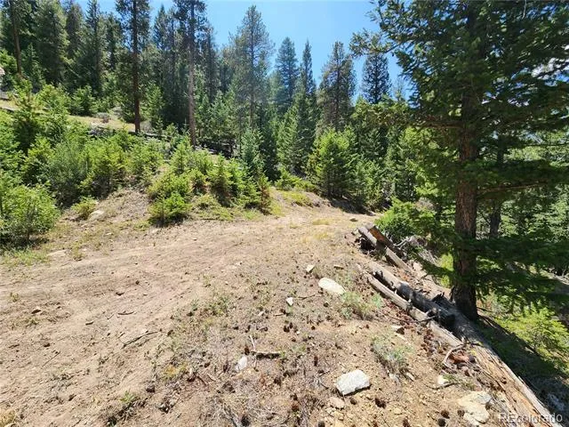 256 Capital Road Dumont, CO 80436