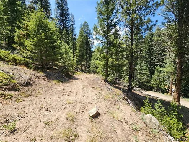 256 Capital Road Dumont, CO 80436