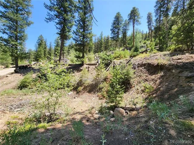 256 Capital Road Dumont, CO 80436