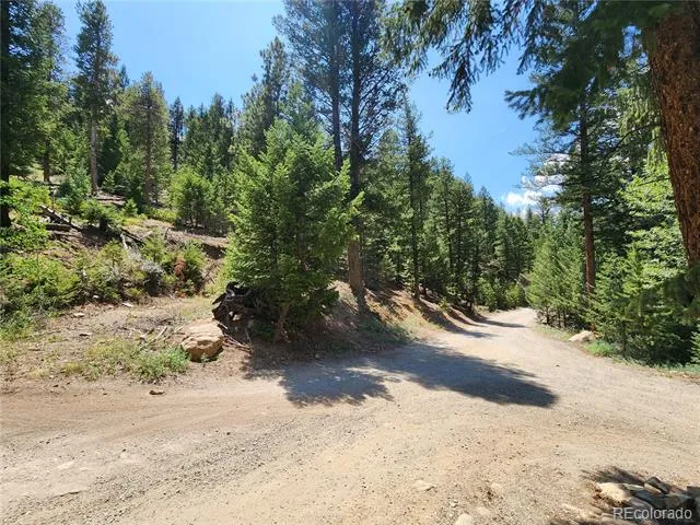 256 Capital Road Dumont, CO 80436