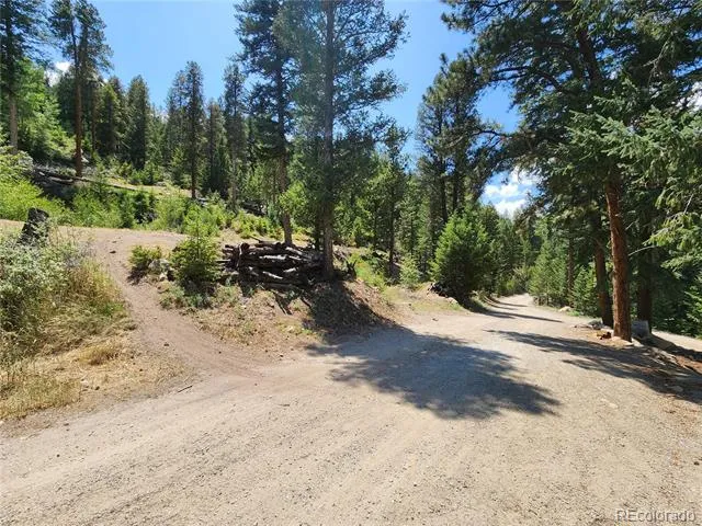 256 Capital Road Dumont, CO 80436