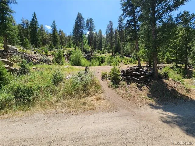 256 Capital Road Dumont, CO 80436