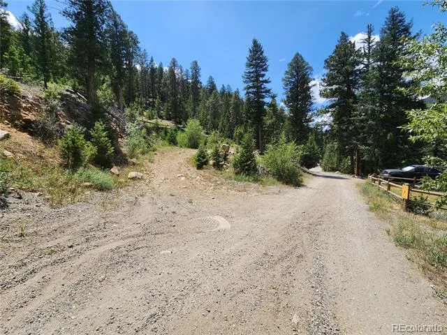 256 Capital Road Dumont, CO 80436