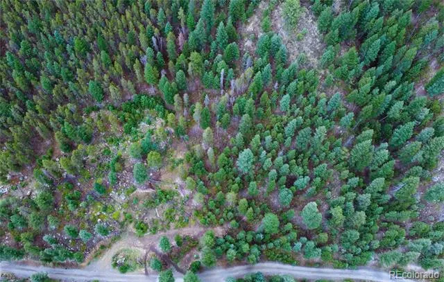 256 Capital Road Dumont, CO 80436