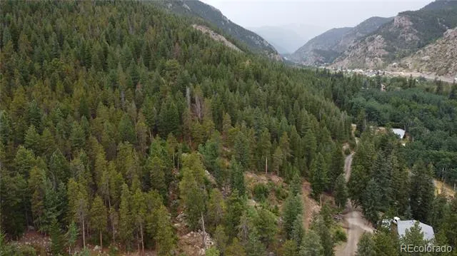 256 Capital Road Dumont, CO 80436